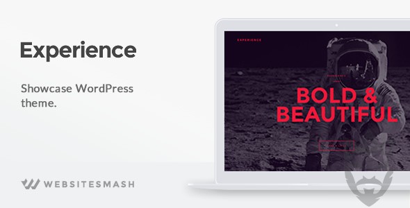 Experience - Showcase WordPress Theme