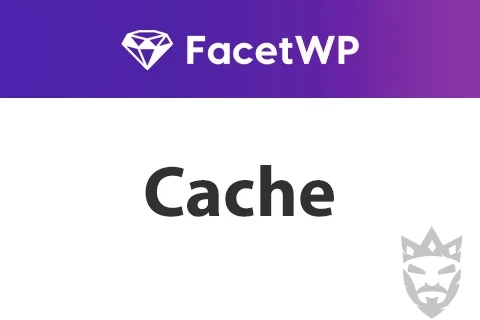 FacetWP Caching