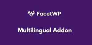 FacetWP Multilingual