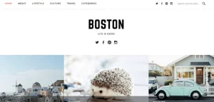 FameThemes Boston Pro WordPress Theme