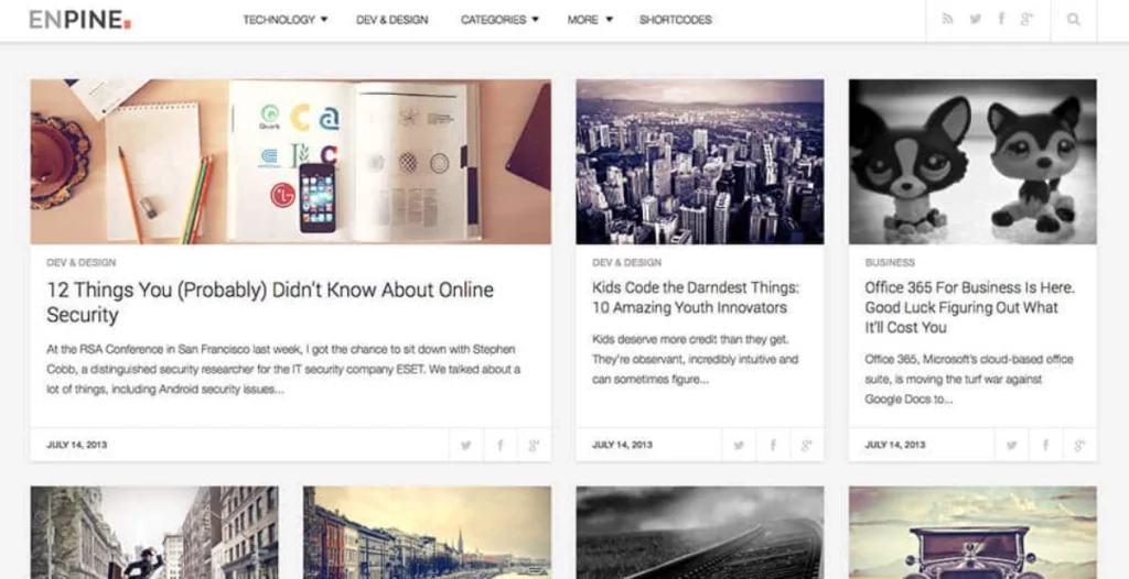 FameThemes Enpine WordPress Theme