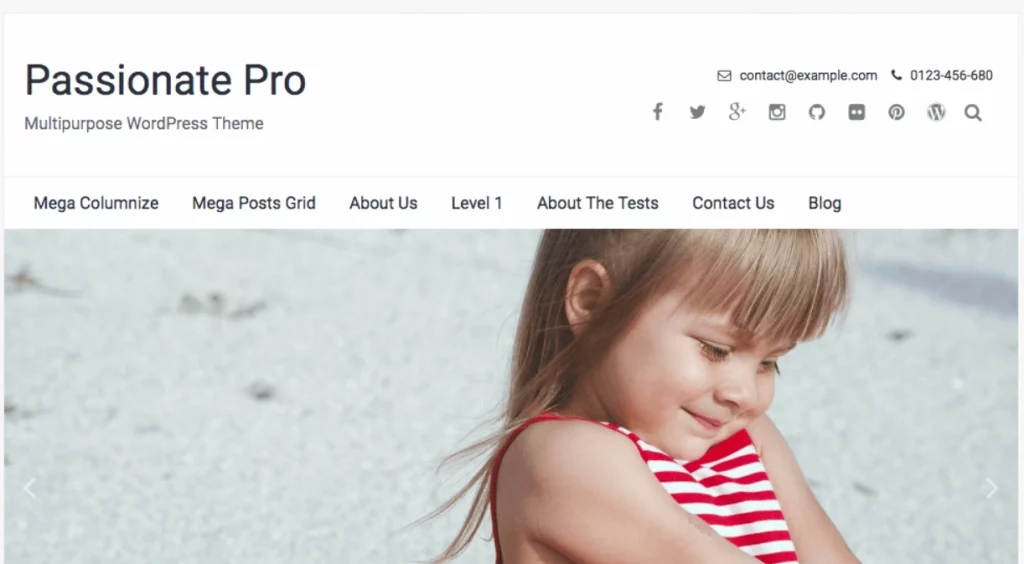 FameThemes Passionate Pro WordPress Theme