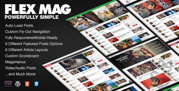 Flex Mag - Responsive WordPress News Theme