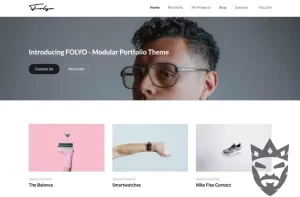 Folyo - Modular Portfolio Theme