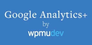 GOOGLE ANALYTICS PLUS