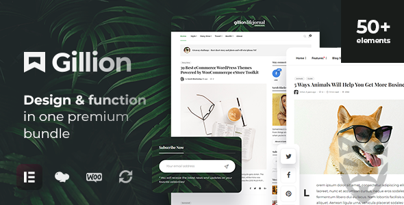 Gillion | Multi-Concept Blog/Magazine  Shop WordPress AMP Theme