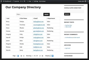 Google Apps Directory for WordPress Enterprise