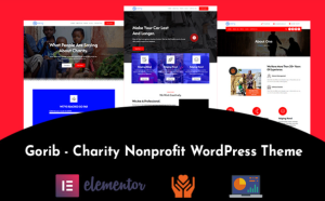 Gorib - Charity WordPress Theme