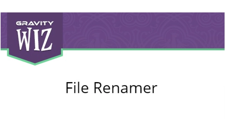 Gravity Forms File Renamer