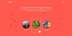 Gravity Forms Image Choices Add-On By JetSloth