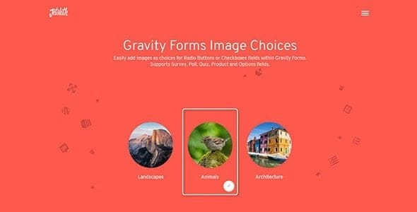 Gravity Forms Image Choices