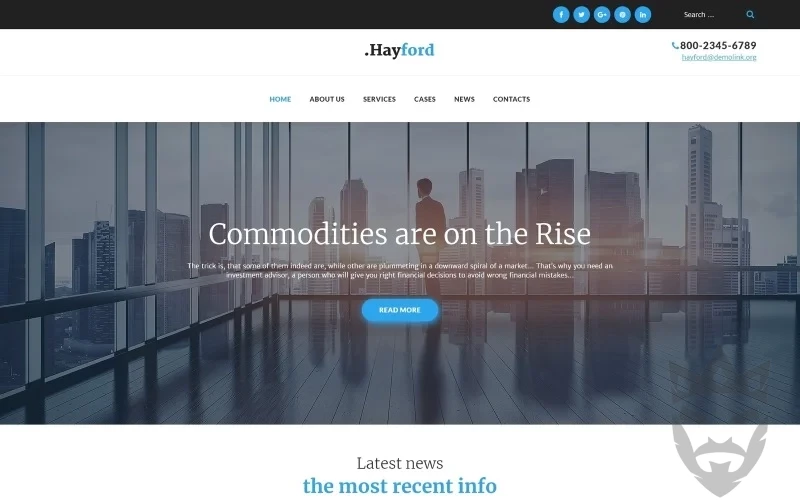 Hayford - Investment Consulting Services Responsive WordPress Theme