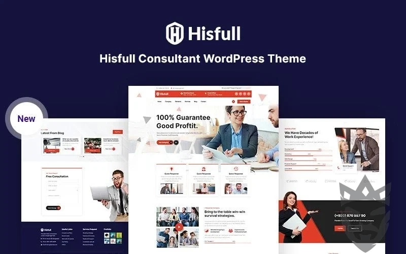 Hisfull - Consultant Responsive WordPress Theme