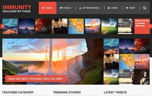 Immunity - WordPress Theme