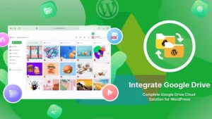 Integrate Google Drive Premium