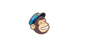 MailChimp Subscription