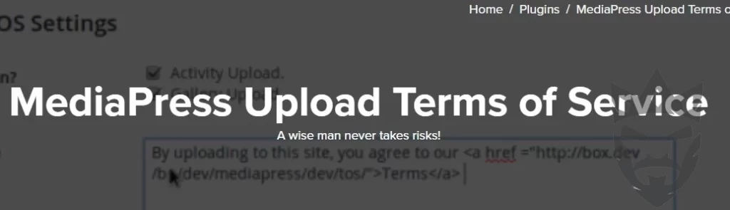 MediaPress Upload Terms Of Service