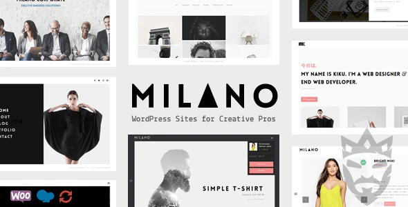 Milano | Creative Minimal Portfolio  Photography WordPress Theme