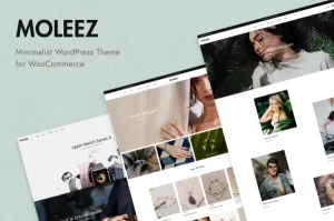 Moleez - Minimalist WordPress Theme for WooCommerce