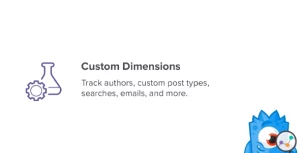 MonsterInsights Custom Dimensions Addon