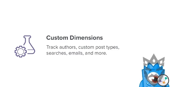 MonsterInsights Custom Dimensions Addon