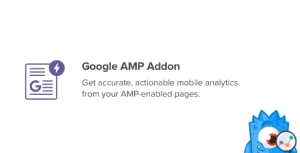 MonsterInsights Google AMP Addon