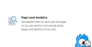 MonsterInsights Page Insights Addon