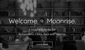 Moonrise wordpress theme