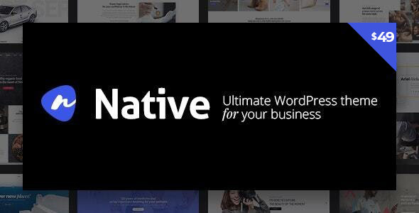 Native - Stylish Multi-Purpose Creative WP Theme