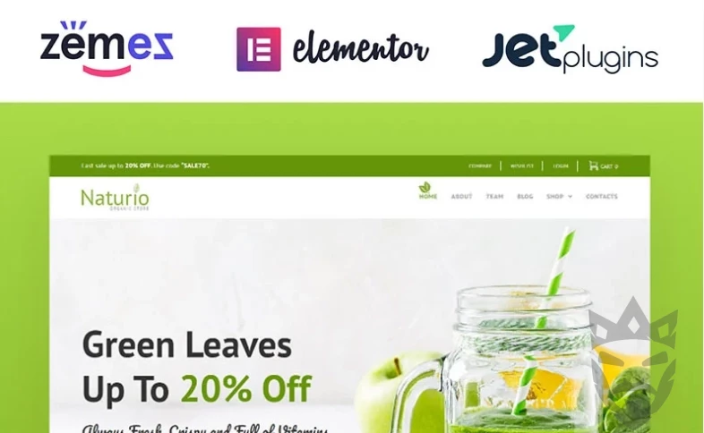 Naturio Food Store Template Elementor WooCommerce Theme