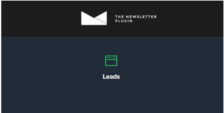 Newsletter Leads