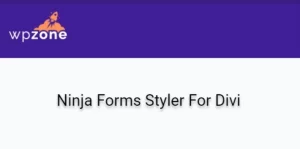 Ninja Forms Styler For Divi