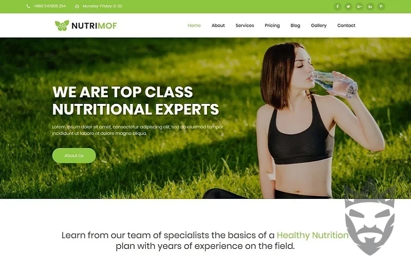 Nutrimof - Nutritional & Health WordPress Theme