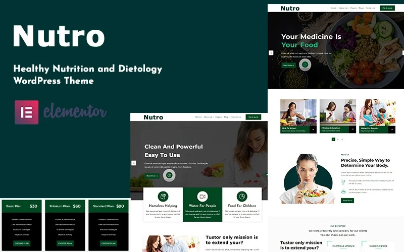 Nutro - Nutrition Health Services WordPress Theme