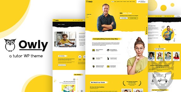 Owly - Tutoring  eLearning WP Theme