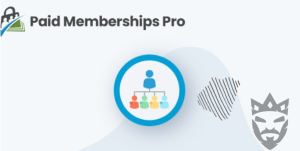 Paid Memberships Pro Group Accounts