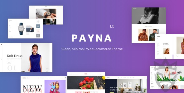 Payna - Clean