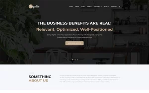 Payrollix - Internet Business Accounting WordPress Theme