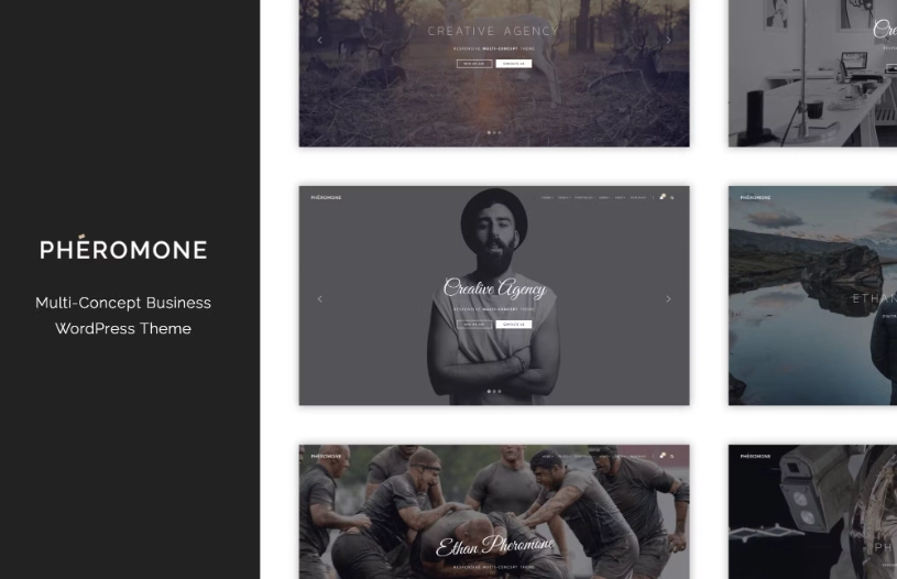 Pheromone - Creative Multi-Concept WordPress Theme