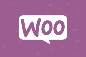 Pie Register WooCommerce Add on