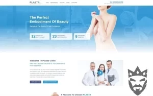 Plasta - Medical WordPress Elementor Theme WordPress Theme