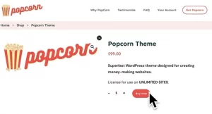 Popcorn Theme Full Site Editor (Popcorn Theme Addon)