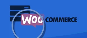 Prevent Direct Access WooCommerce Integration