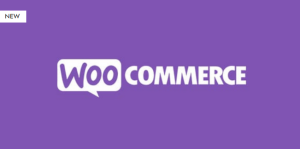 Product Prices by User Roles for WooCommerce Pro