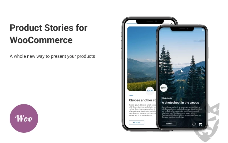 Product Stories for WooCommerce WordPress Plugin