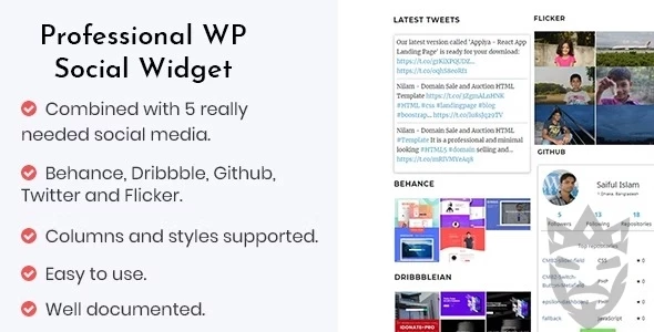 Professional WP Social Widget Plugin