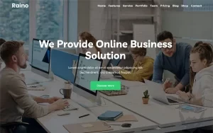 Raino - Digital Agency One page WordPress Theme