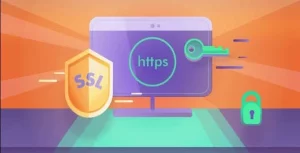 Really Simple SSL Pro