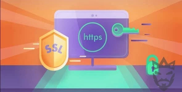 Really Simple SSL Pro