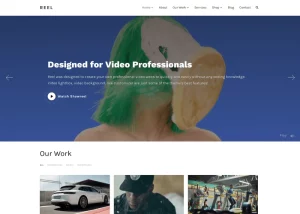 Reel - WPZoom WordPress Theme